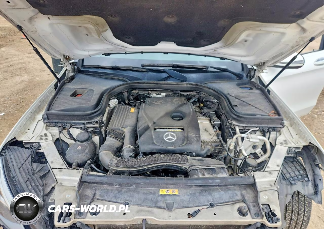 2019 Mercedes-Benz Glc 300 4Matic VIN:WDC0J4KB1KF640571 - 12