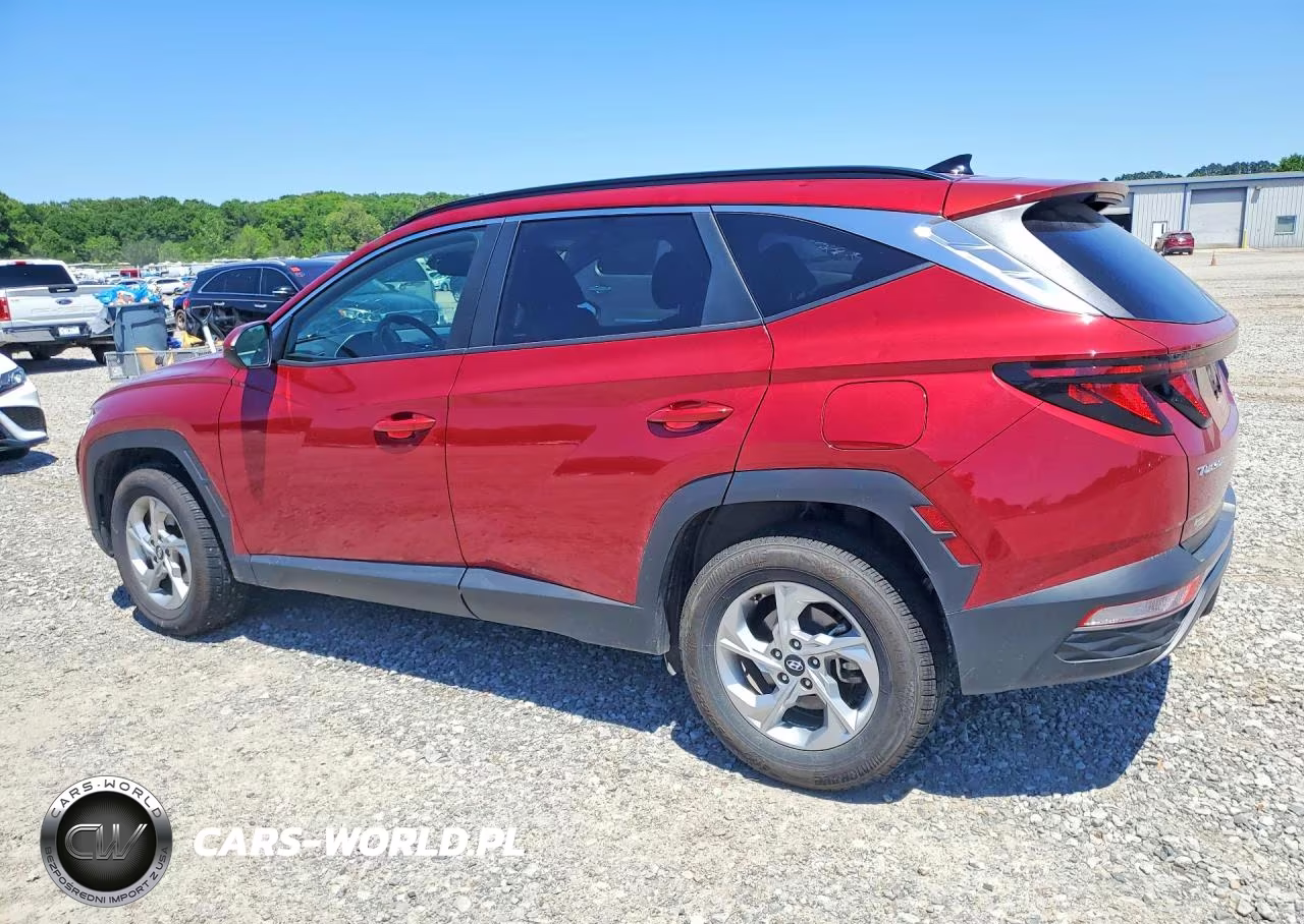 2024 Hyundai Tucson Sel VIN:5NMJBCDE3RH407801 - 2
