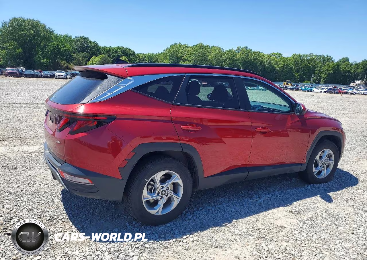2024 Hyundai Tucson Sel VIN:5NMJBCDE3RH407801 - 3