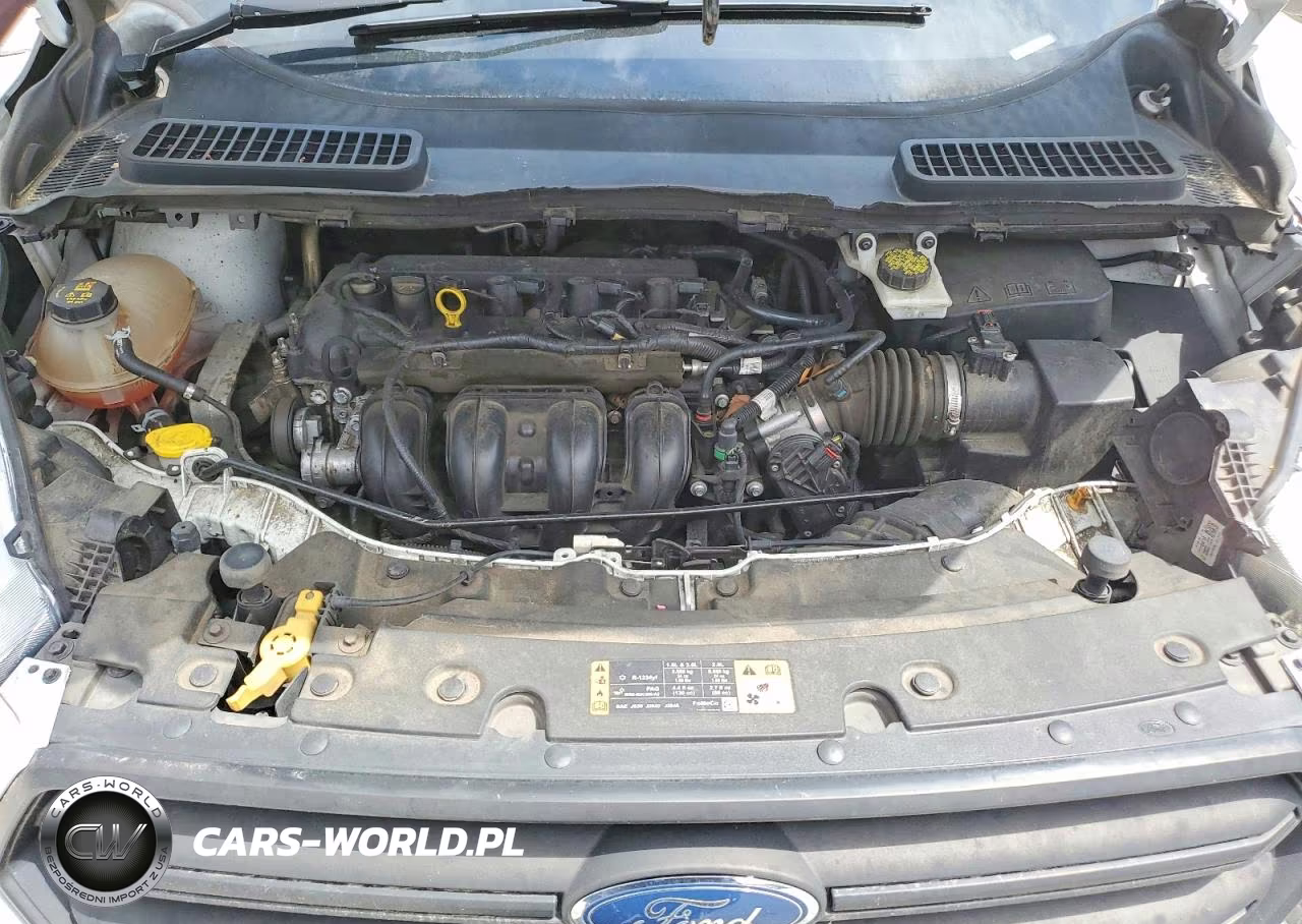 2017 Ford Escape S VIN:1FMCU0F77HUB98226 - 12