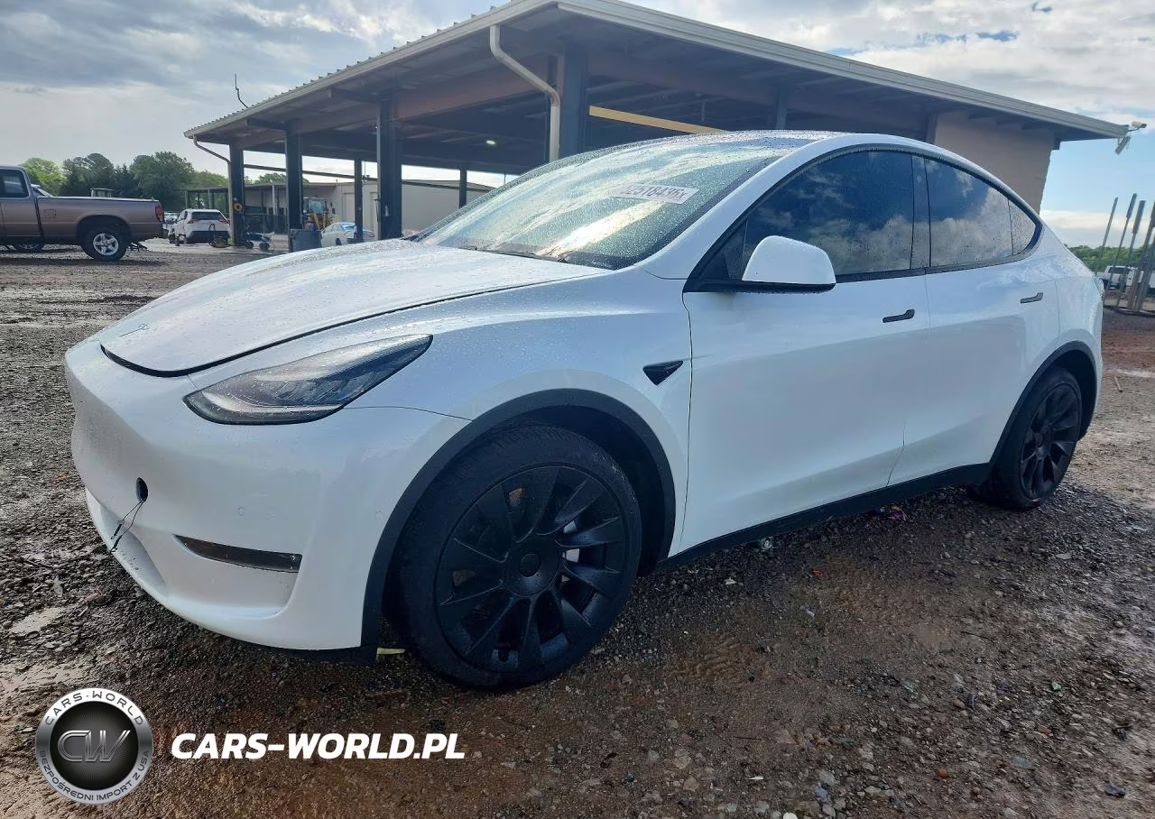 2020 Tesla Model Y