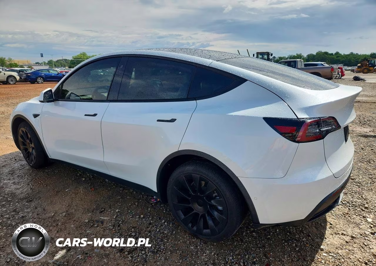 2020 Tesla Model Y VIN:5YJYGDEE5LF034239 - 2
