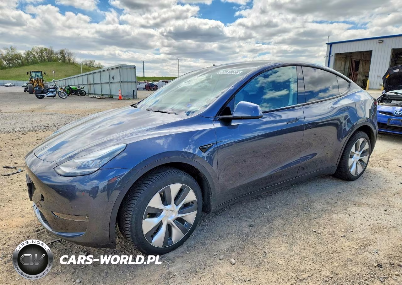 2020 Tesla Model Y