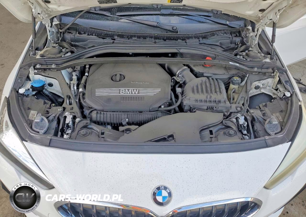 2021 BMW 228I VIN:WBA53AK01M7J06970 - 11
