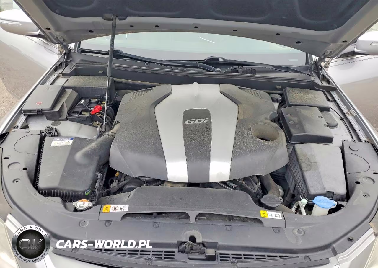 2013 Hyundai Genesis 3.8L VIN:KMHGC4DD6DU246281 - 11