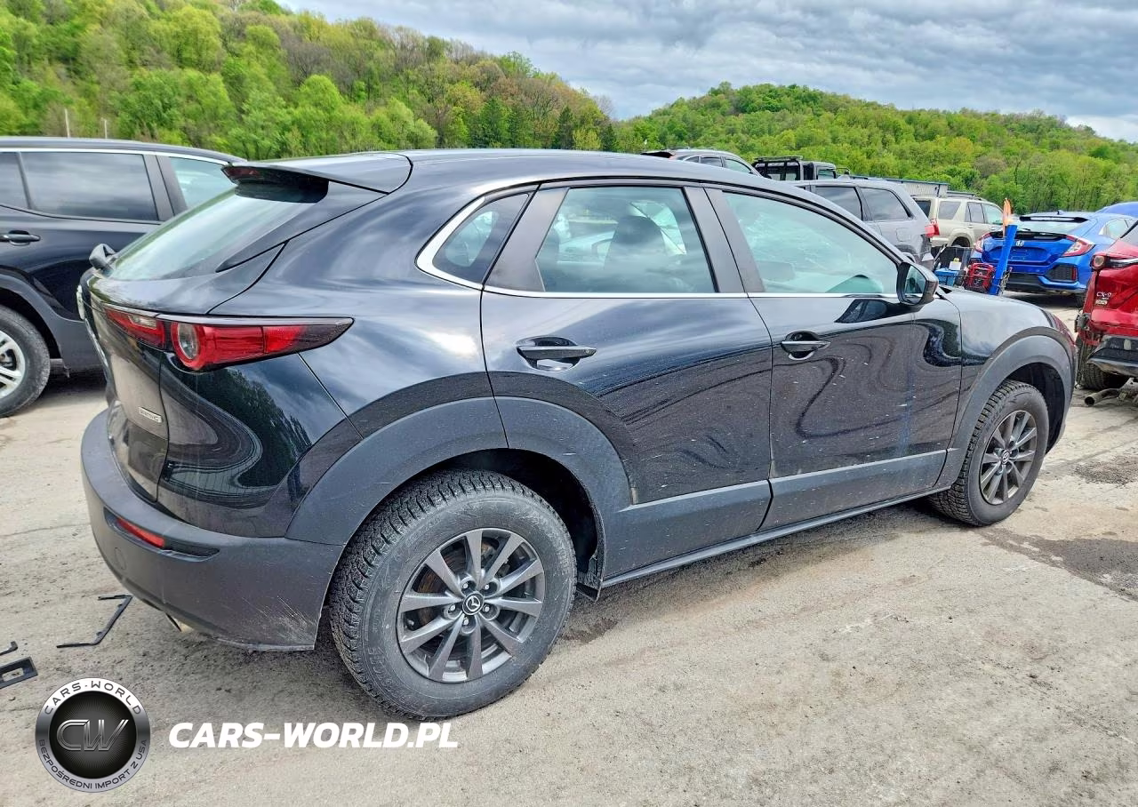 2021 Mazda Cx-30 VIN:3MVDMBAL7MM210249 - 3