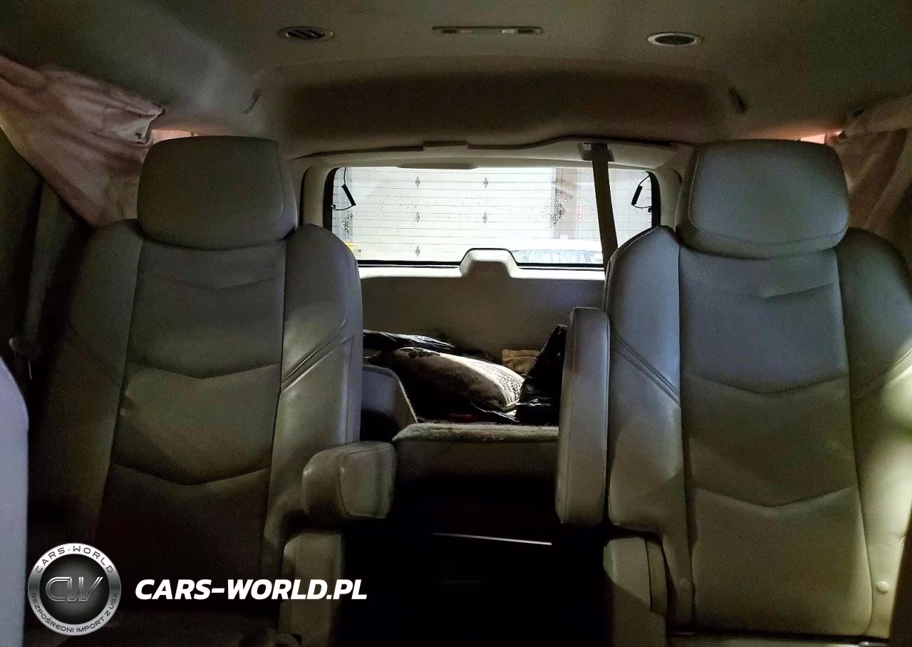 2015 Cadillac Escalade Luxury VIN:1GYS4BKJ3FR199011 - 10