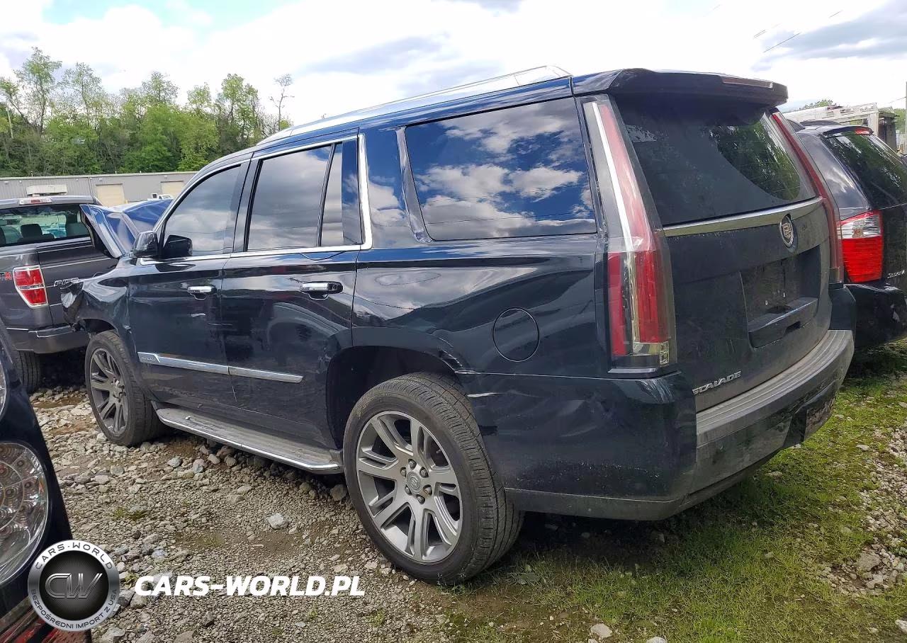 2015 Cadillac Escalade Luxury VIN:1GYS4BKJ3FR199011 - 2