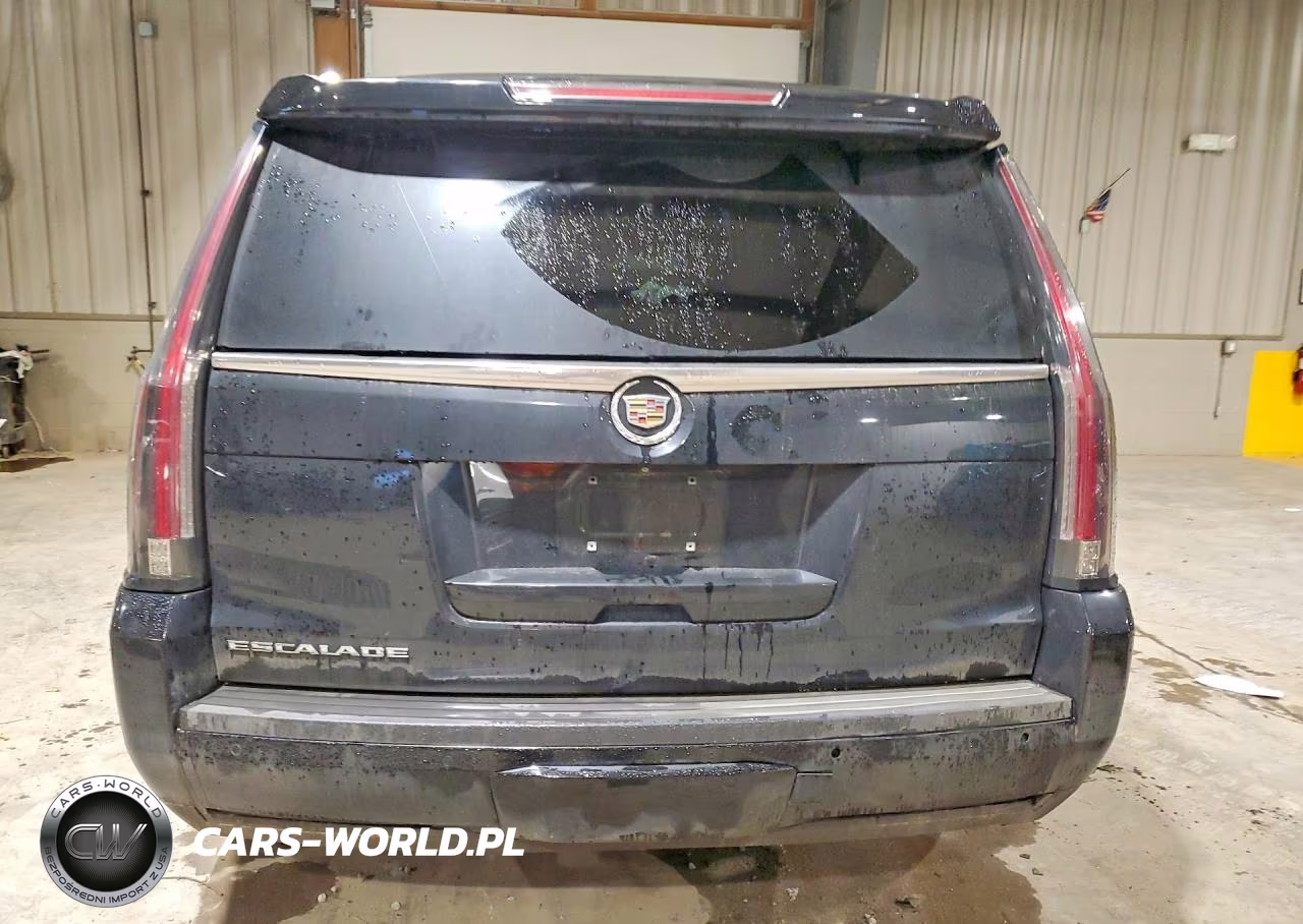 2015 Cadillac Escalade Luxury VIN:1GYS4BKJ3FR199011 - 6