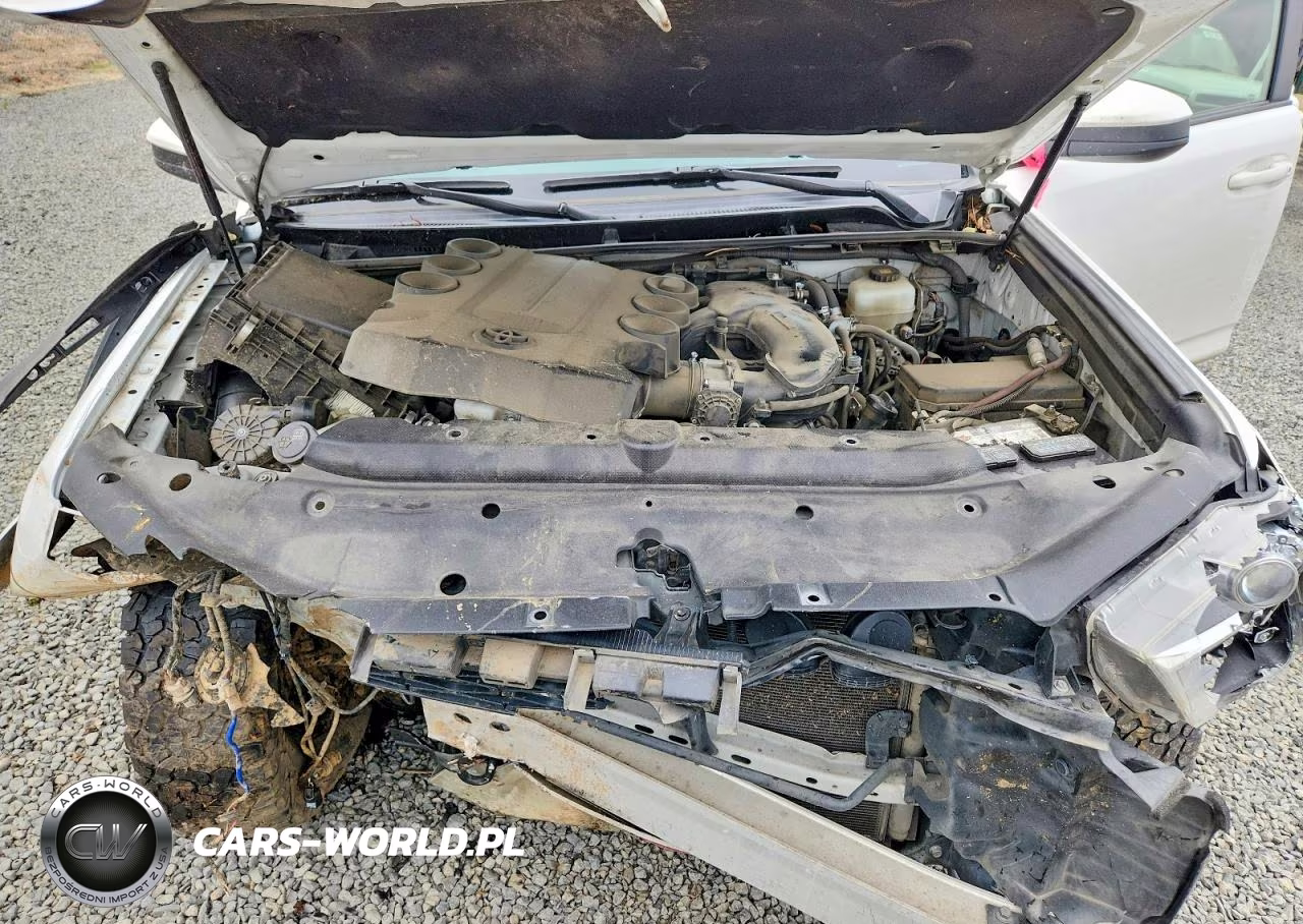 2018 Toyota 4Runner Trd Pro VIN:JTEBU5JR5J5584841 - 12