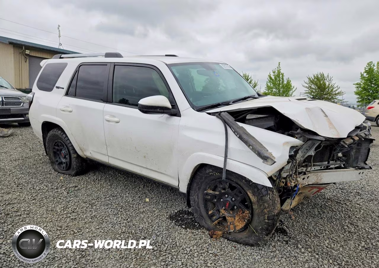 2018 Toyota 4Runner Trd Pro VIN:JTEBU5JR5J5584841 - 4