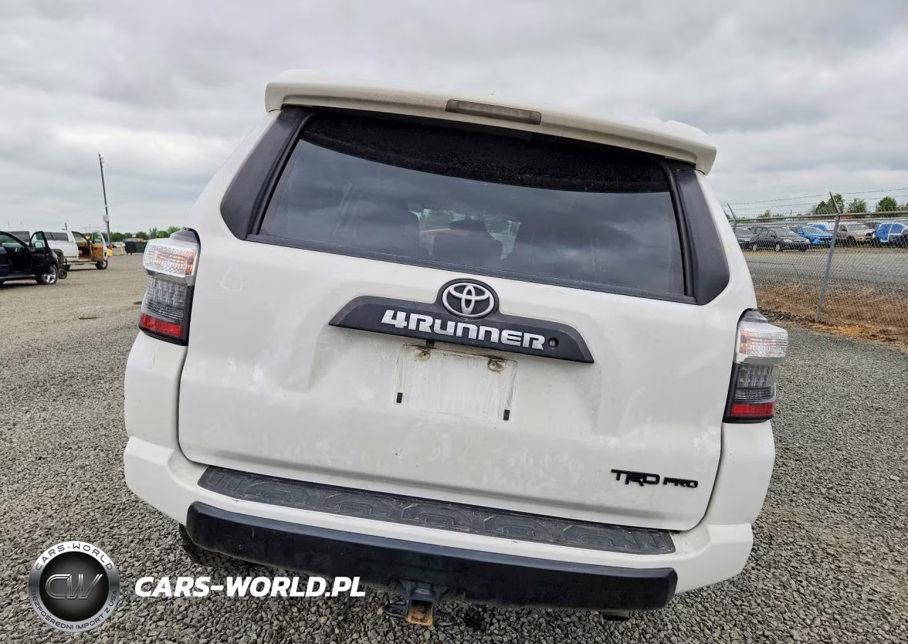 2018 Toyota 4Runner Trd Pro VIN:JTEBU5JR5J5584841 - 6