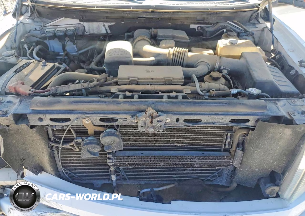 2010 Ford F150 Supercrew VIN:1FTFW1EV9AFB47659 - 11