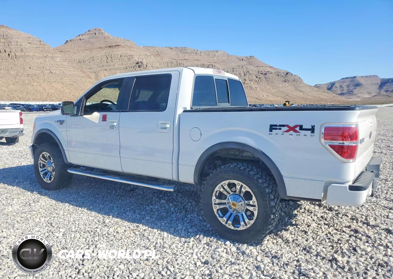 2010 Ford F150 Supercrew VIN:1FTFW1EV9AFB47659 - 2