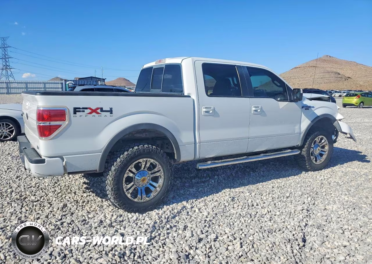 2010 Ford F150 Supercrew VIN:1FTFW1EV9AFB47659 - 3