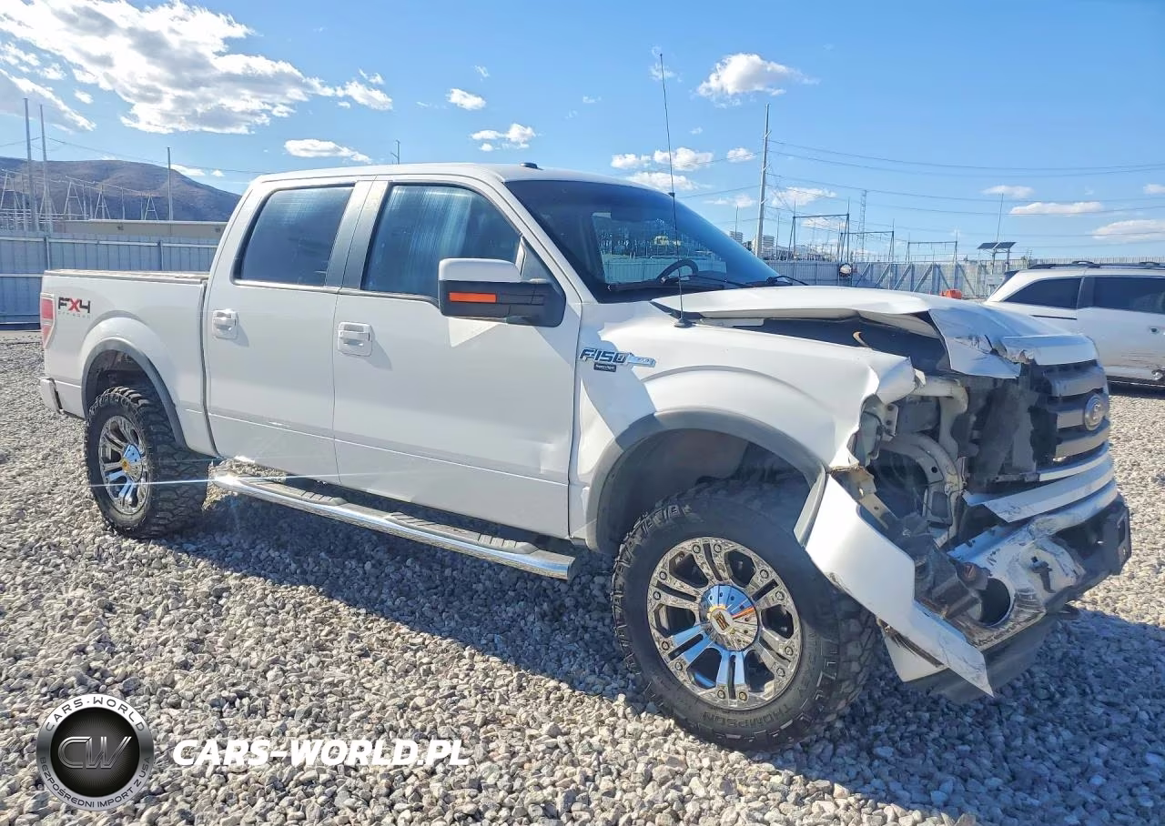 2010 Ford F150 Supercrew VIN:1FTFW1EV9AFB47659 - 4
