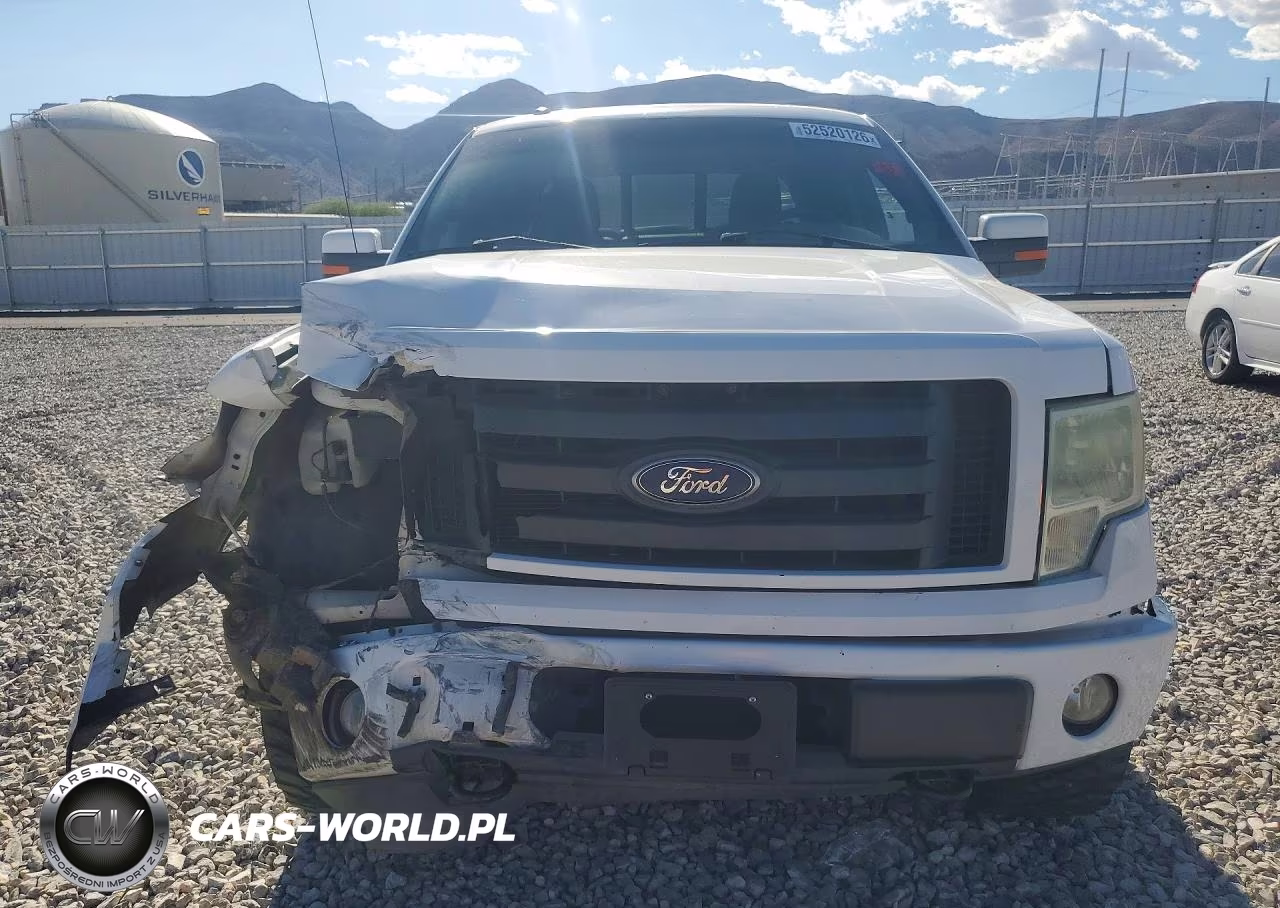 2010 Ford F150 Supercrew VIN:1FTFW1EV9AFB47659 - 5