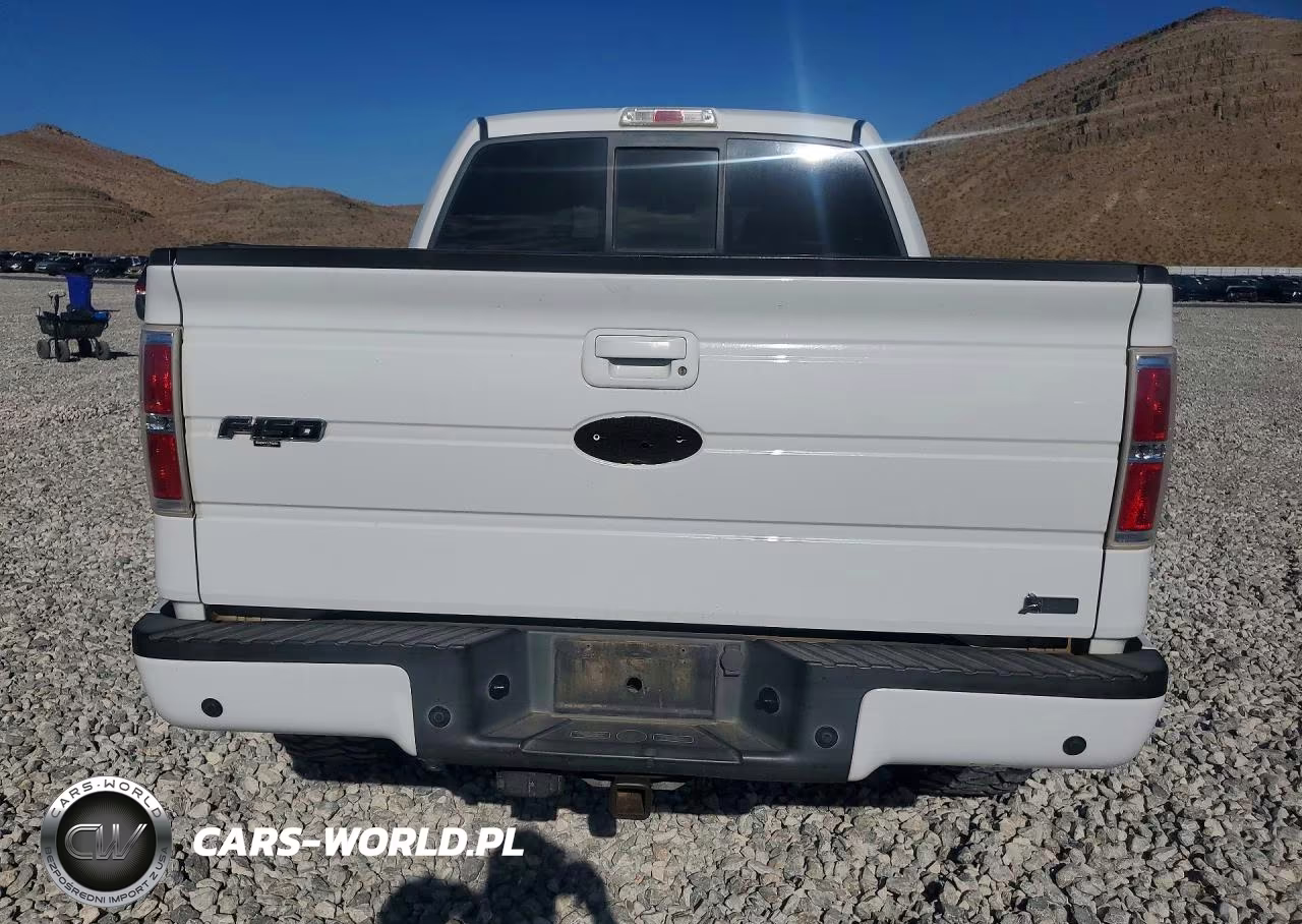 2010 Ford F150 Supercrew VIN:1FTFW1EV9AFB47659 - 6