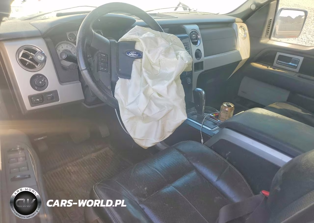 2010 Ford F150 Supercrew VIN:1FTFW1EV9AFB47659 - 8