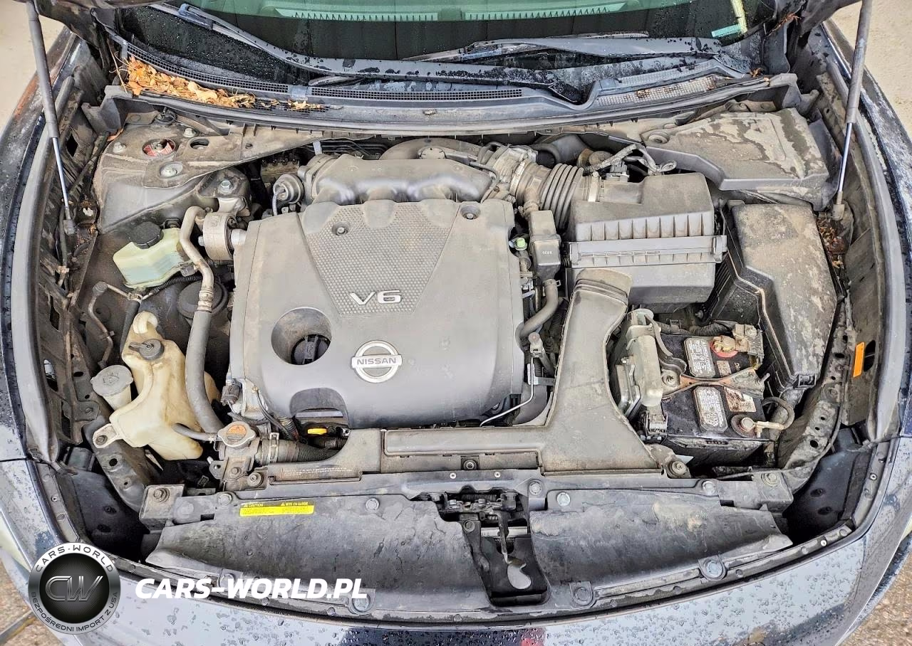 2009 Nissan Maxima 3.5 S VIN:1N4AA51EX9C834318 - 11