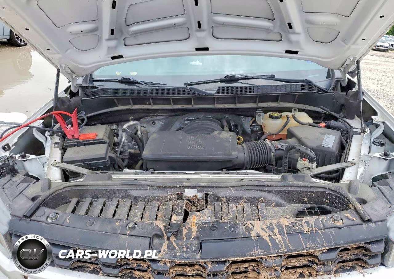 2019 Chevrolet Silverado K1500 Custom VIN:3GCPYBEH6KG302716 - 11