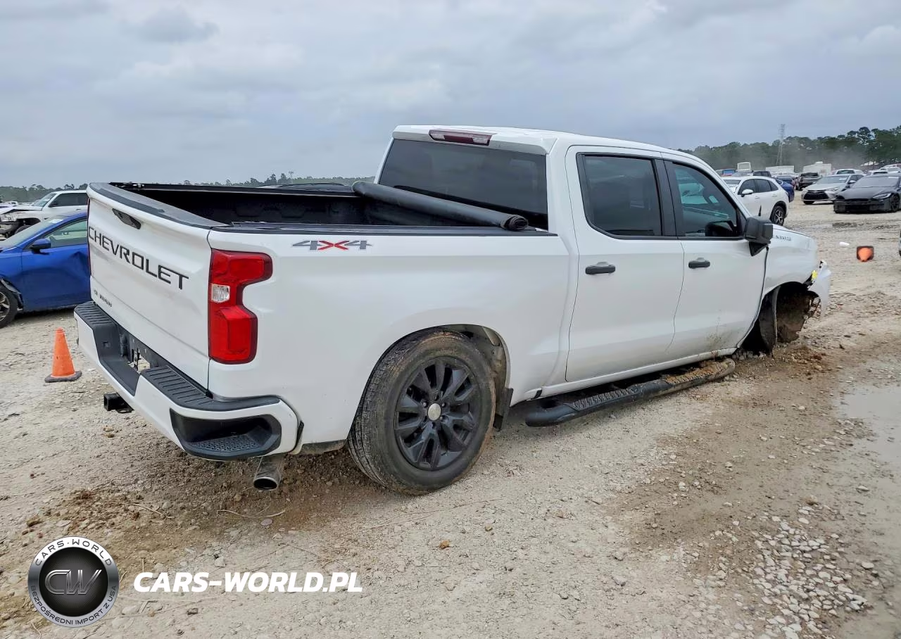 2019 Chevrolet Silverado K1500 Custom VIN:3GCPYBEH6KG302716 - 3