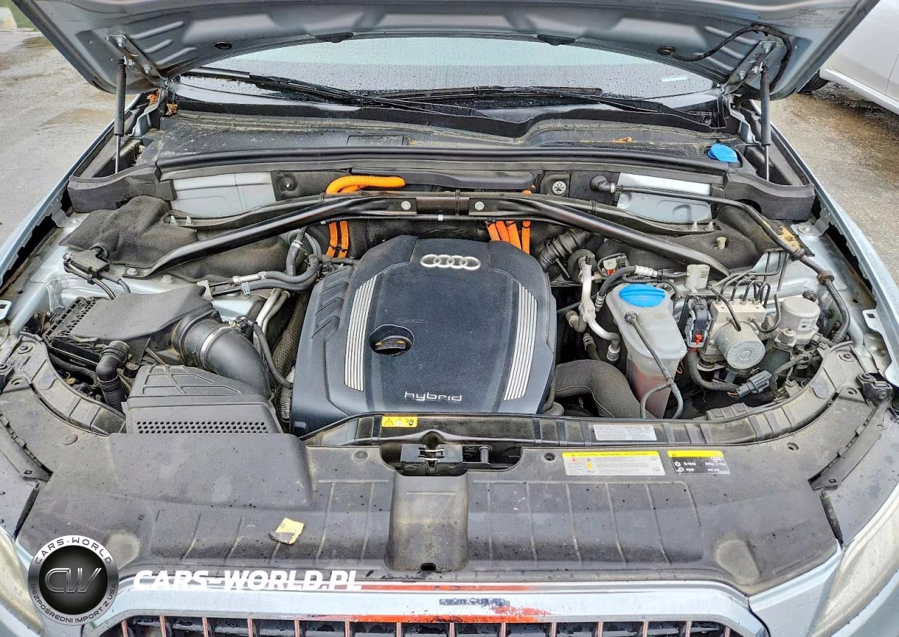 2013 Audi Q5 Premium Hybrid VIN:WA1C8AFP4DA072975 - 12