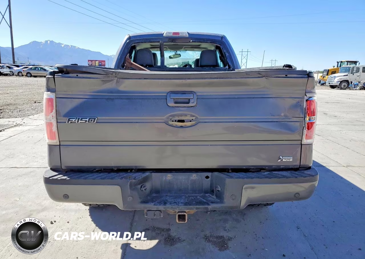 2010 Ford F150 Super Cab VIN:1FTFX1EV8AKE16173 - 6