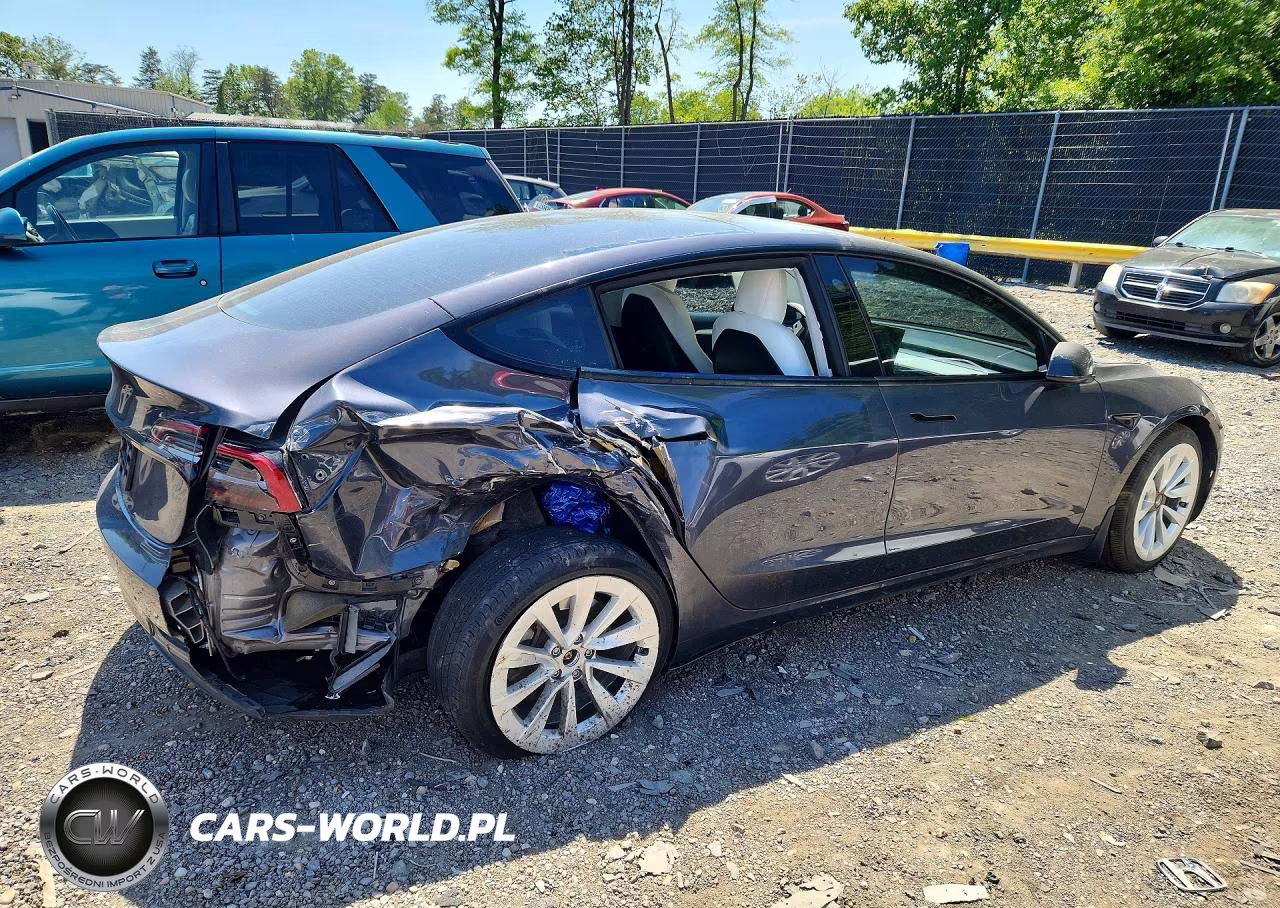 2021 Tesla Model 3 VIN:5YJ3E1EA9MF987274 - 3