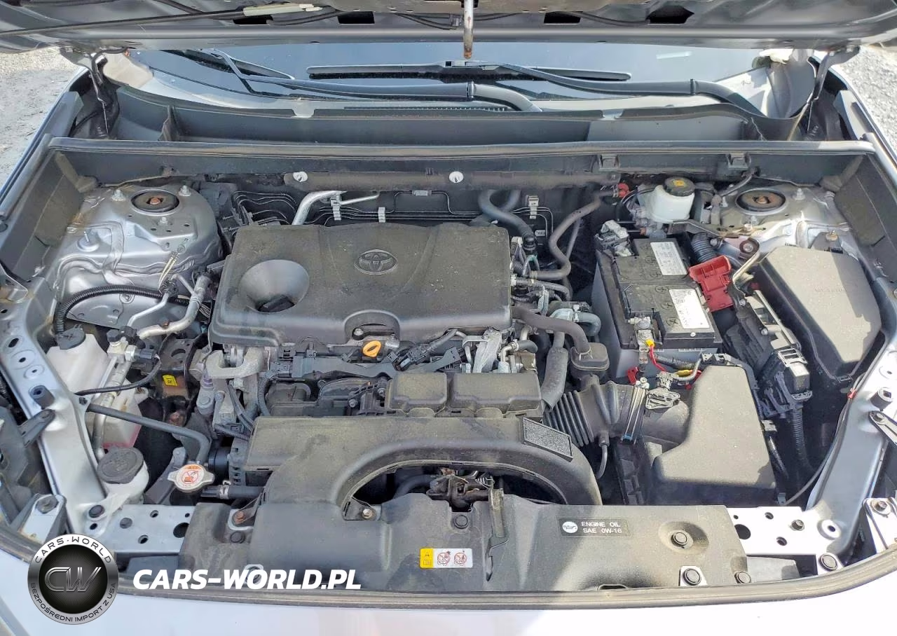 2019 Toyota Rav4 Le VIN:2T3F1RFVXKW064849 - 11