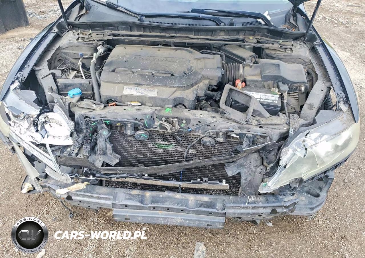 HONDA ACCORD EXL VIN:1HGCT2B81FA002251 - 11