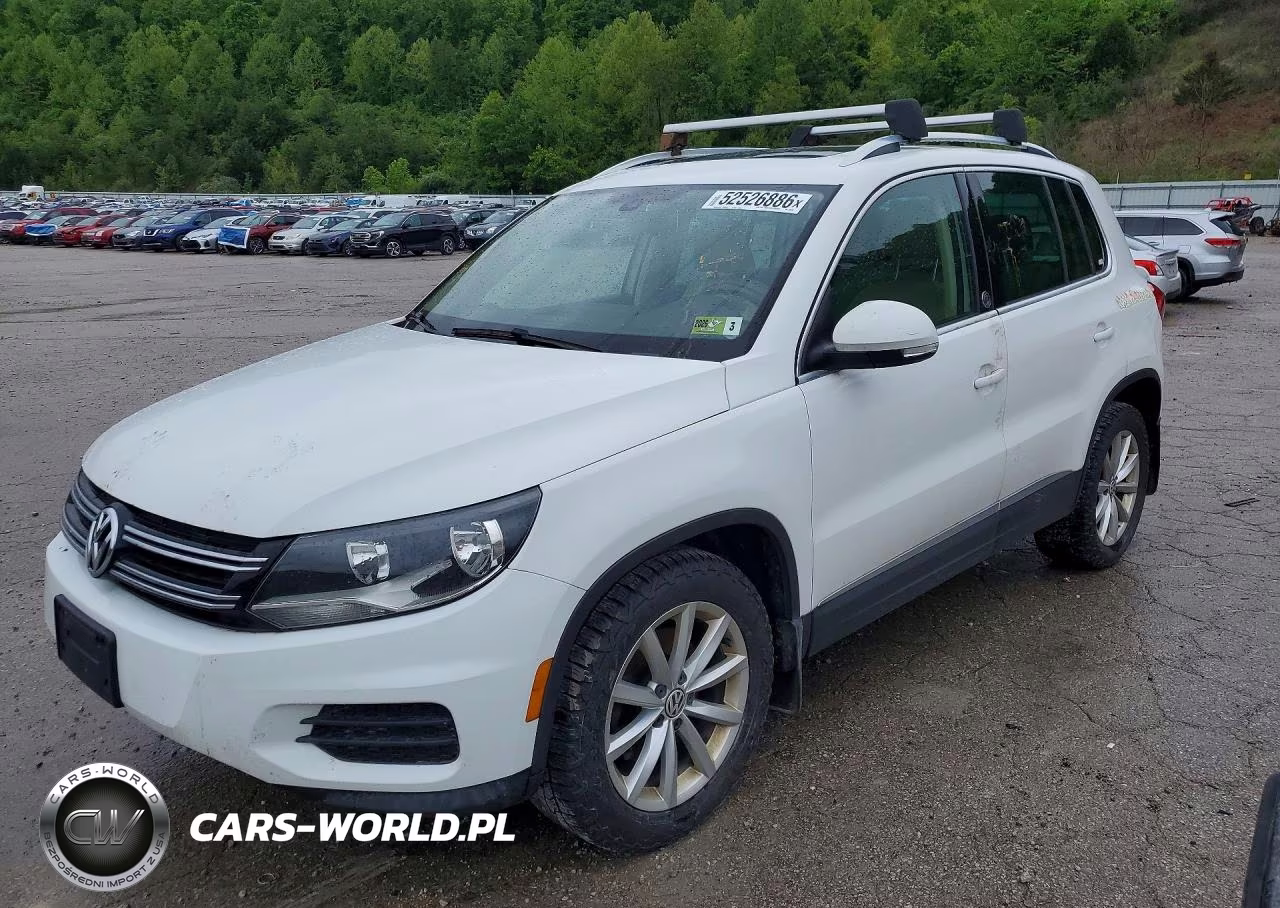 2017 Volkswagen Tiguan Wolfsburg