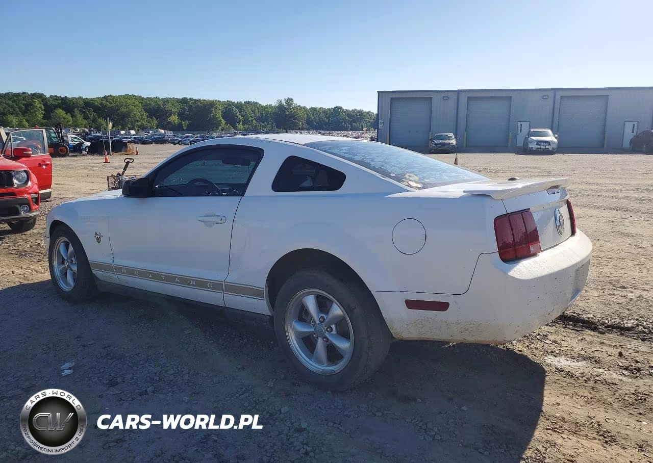 2009 Ford Mustang VIN:1ZVHT80N195132900 - 2