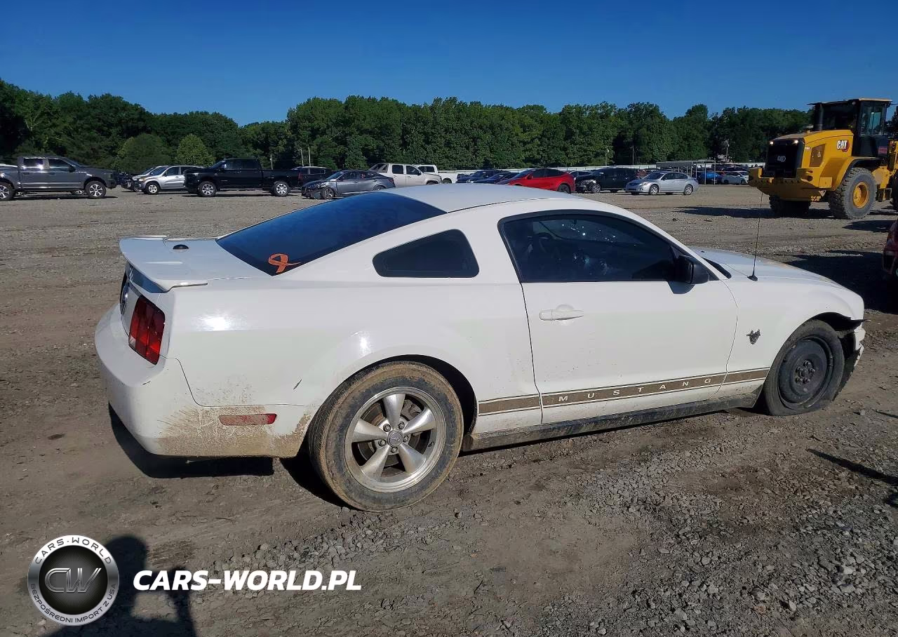 2009 Ford Mustang VIN:1ZVHT80N195132900 - 3