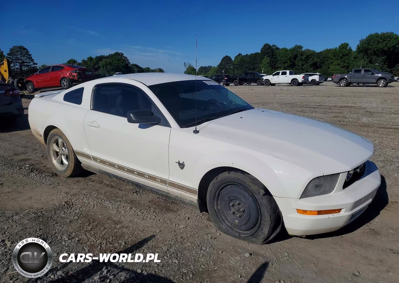 2009 Ford Mustang VIN:1ZVHT80N195132900 - 4