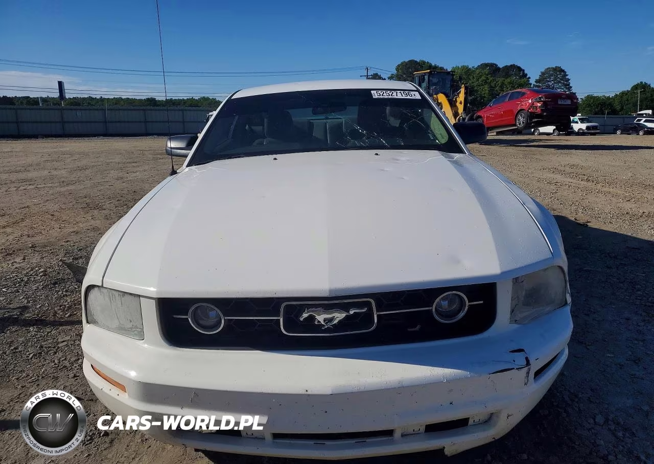 2009 Ford Mustang VIN:1ZVHT80N195132900 - 5