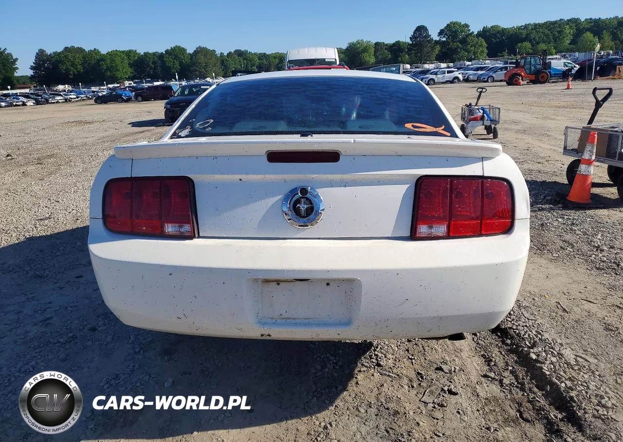 2009 Ford Mustang VIN:1ZVHT80N195132900 - 6