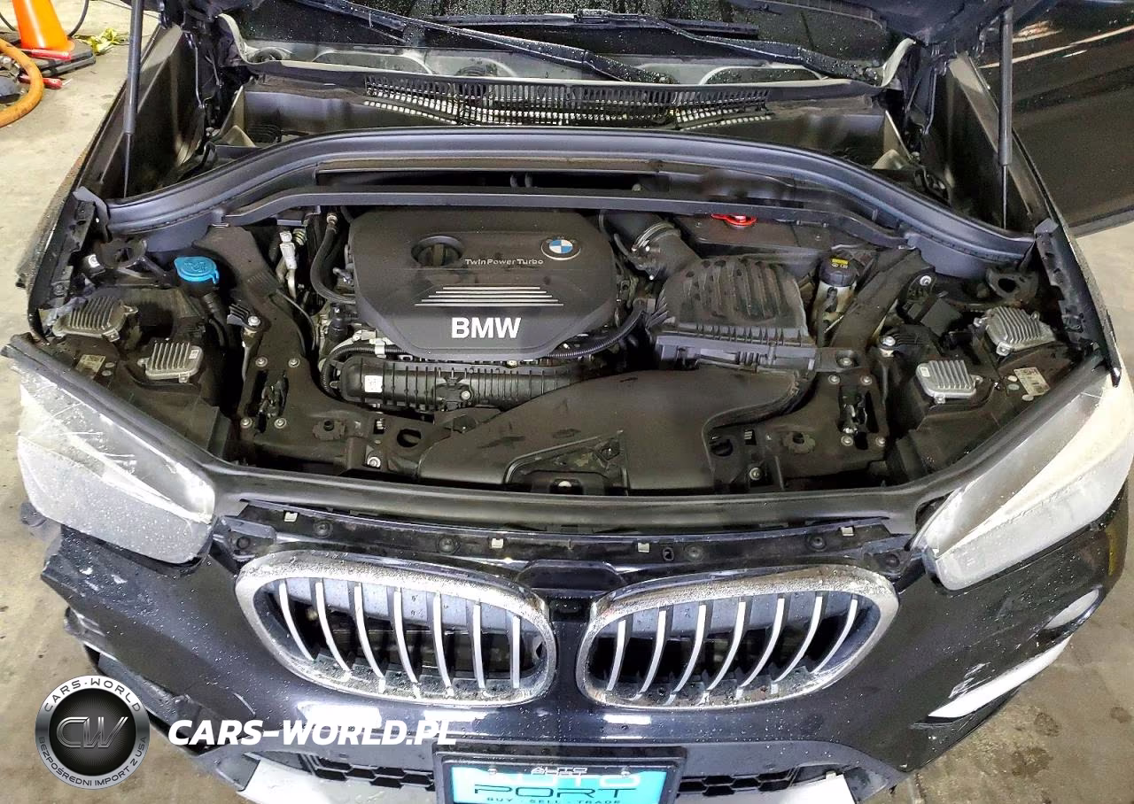 2017 BMW X1 Sdrive28I VIN:WBXHU7C31H5H36844 - 11