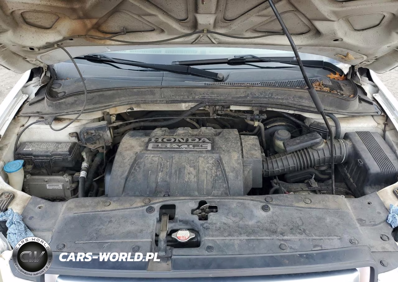 2008 Honda Pilot Exl VIN:5FNYF286X8B016547 - 12