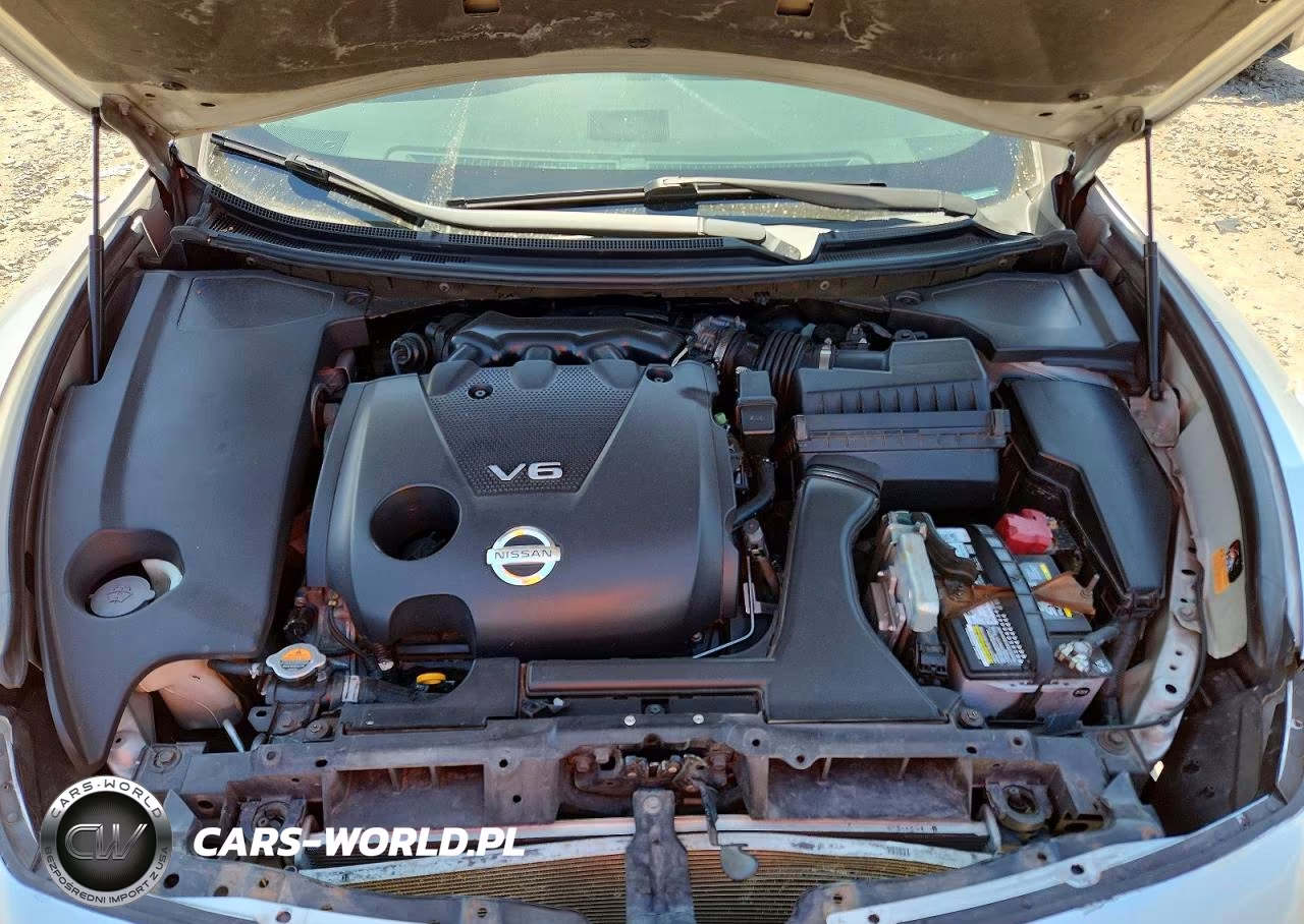 2009 Nissan Maxima 3.5 S VIN:1N4AA51E59C813120 - 11