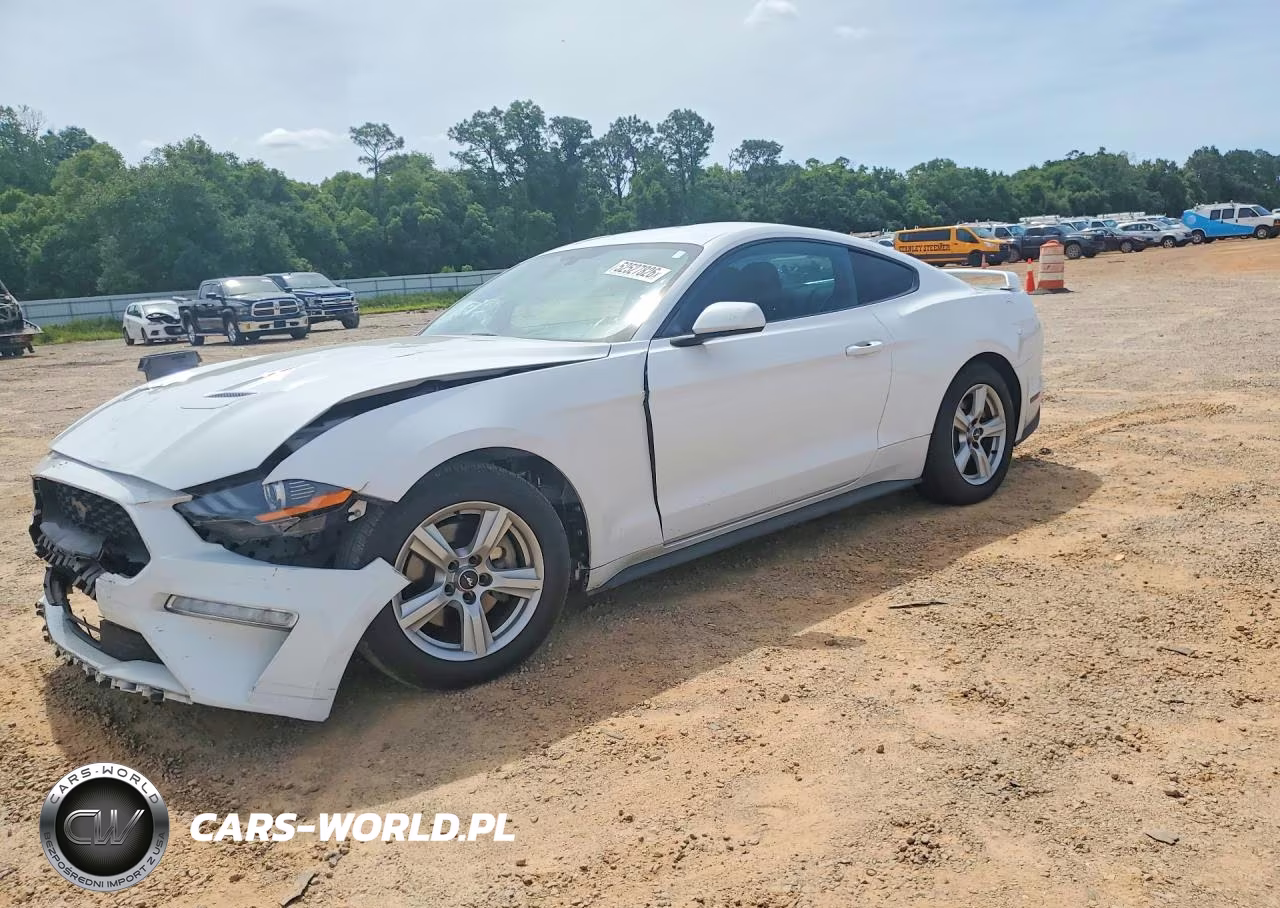 2019 Ford Mustang