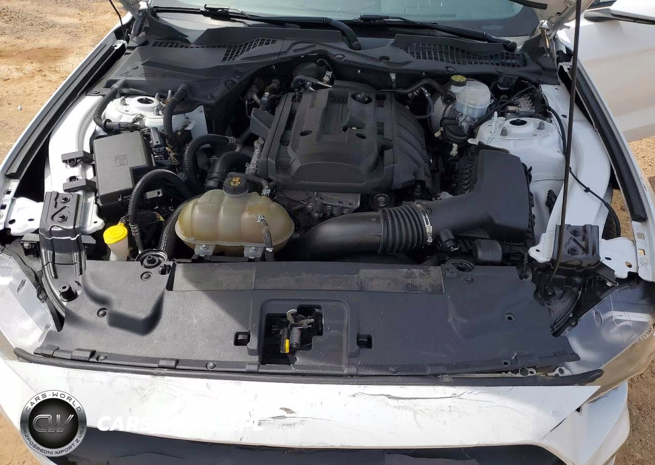 2019 Ford Mustang VIN:1FA6P8THXK5108627 - 11
