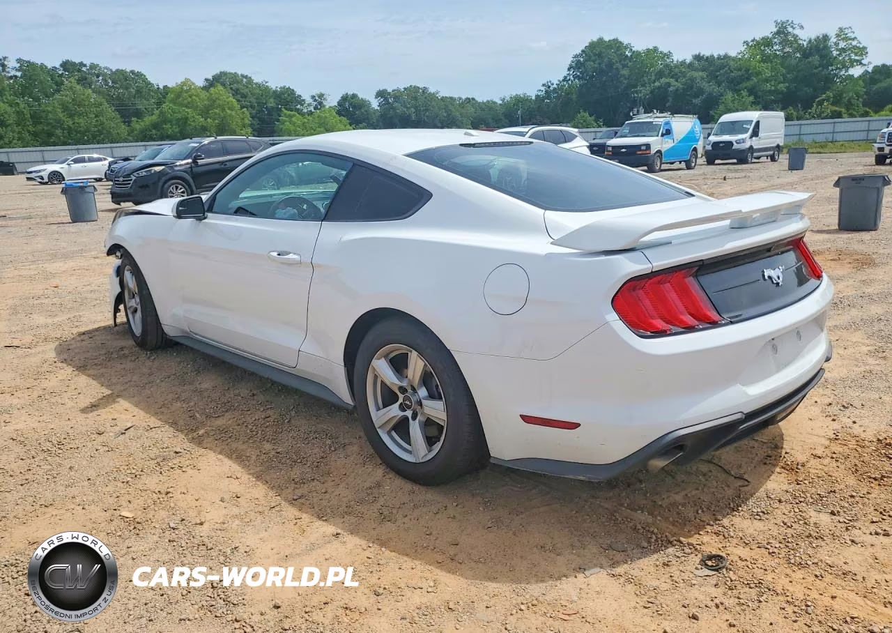 2019 Ford Mustang VIN:1FA6P8THXK5108627 - 2