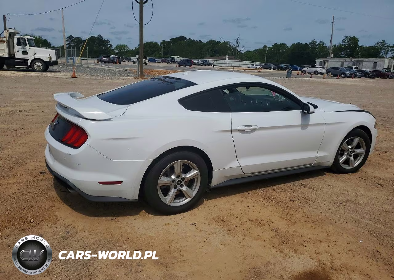 2019 Ford Mustang VIN:1FA6P8THXK5108627 - 3