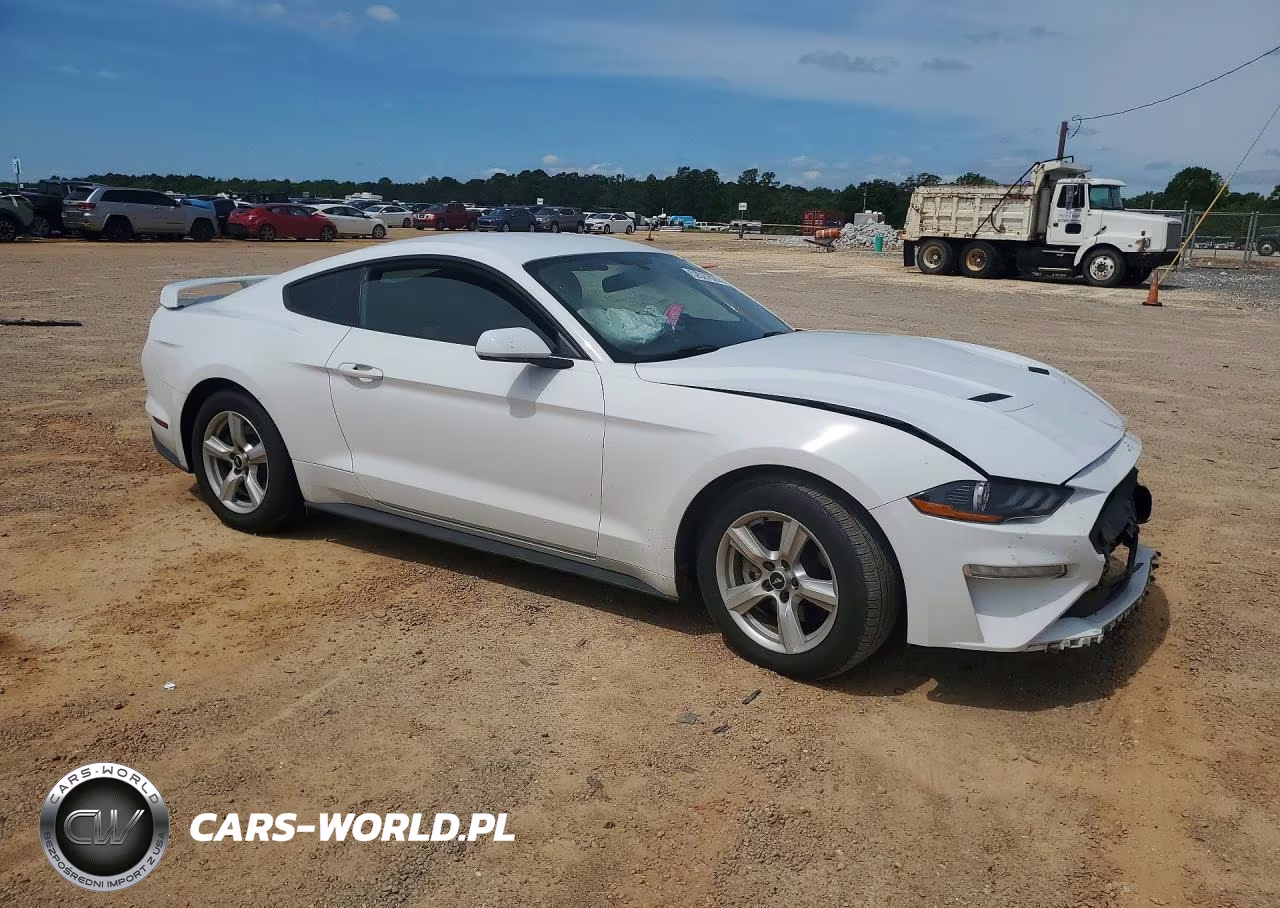 2019 Ford Mustang VIN:1FA6P8THXK5108627 - 4