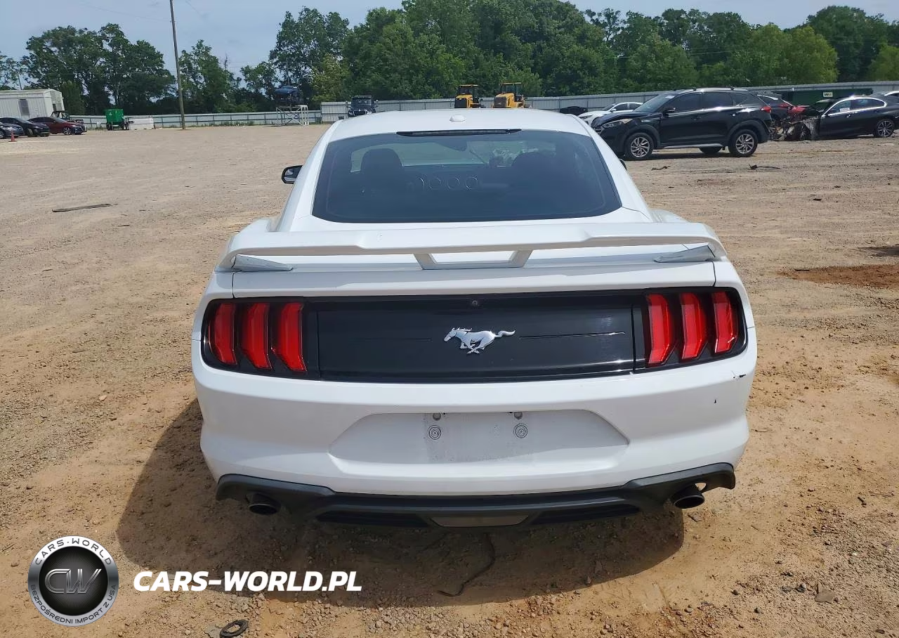 2019 Ford Mustang VIN:1FA6P8THXK5108627 - 6