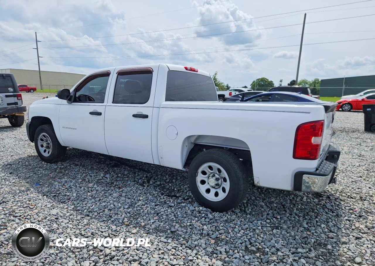 2010 Chevrolet Silverado C1500 VIN:3GCRCPEA9AG157466 - 2