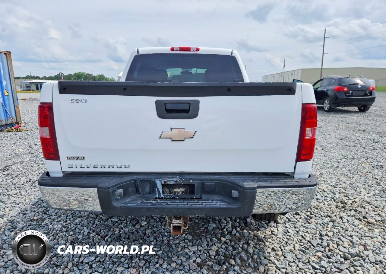 2010 Chevrolet Silverado C1500 VIN:3GCRCPEA9AG157466 - 6