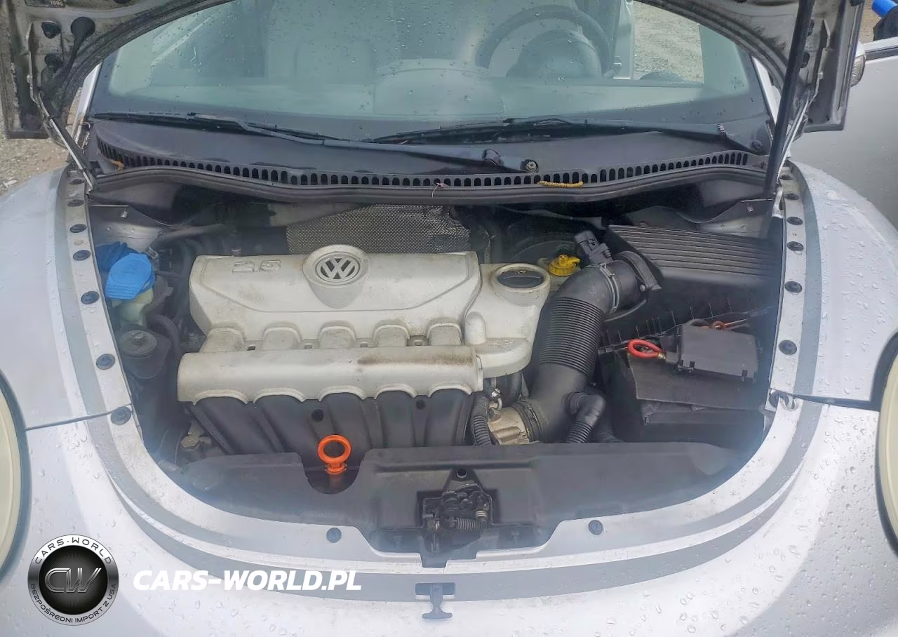 2006 Volkswagen New Beetle 2.5L VIN:3VWPG31C36M413358 - 11
