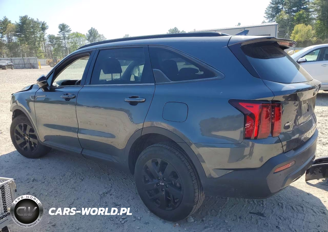2021 Kia Sorento S VIN:5XYRLDLC9MG046163 - 2